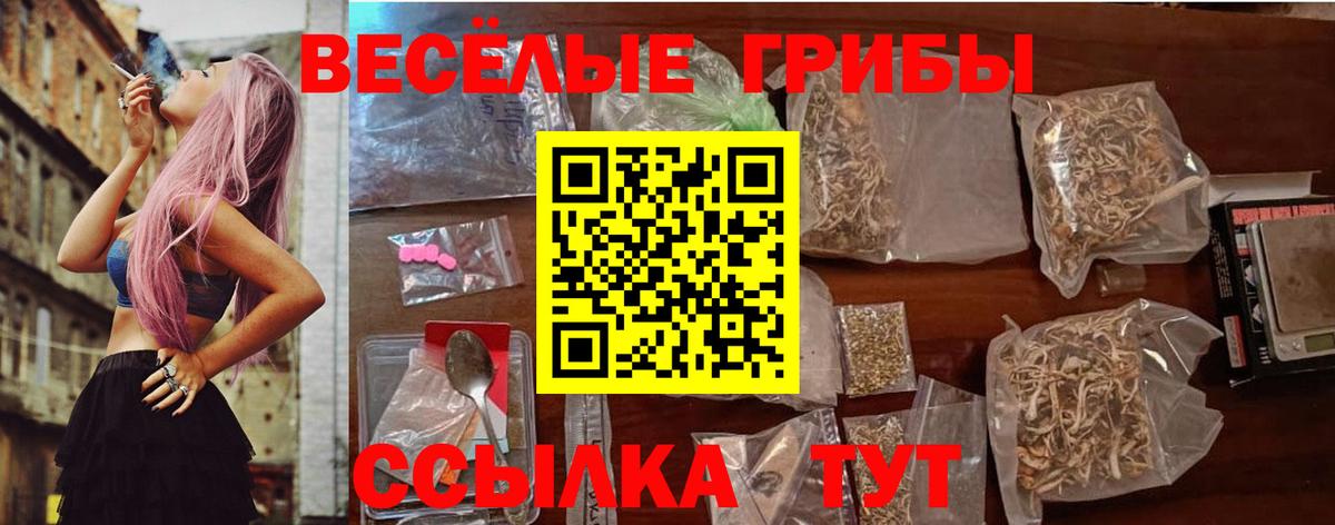 Лесной  Псилоцибиновые грибы прущие грибы  Вход с VPN 
